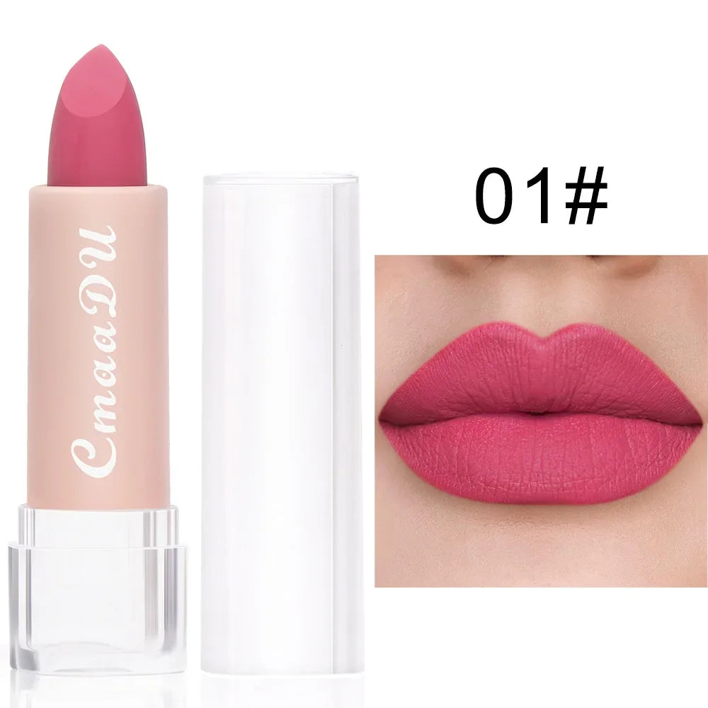 E Rouge à lèvres WS 15 couleurs, maquillage pour les lèvres, sexy, velours mat, longue tenue, imperméable, antiadhésif, cosmétique pour les lèvres